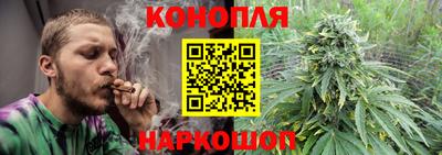 мяу мяу мука Гай