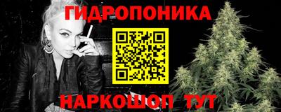 мяу мяу мука Гай
